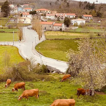 Refugio Do