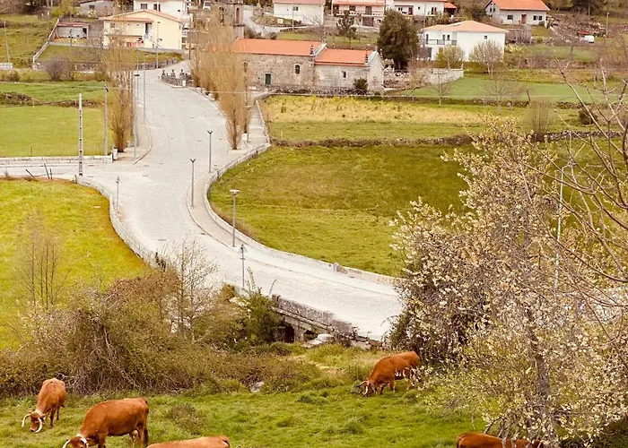 Refugio Do